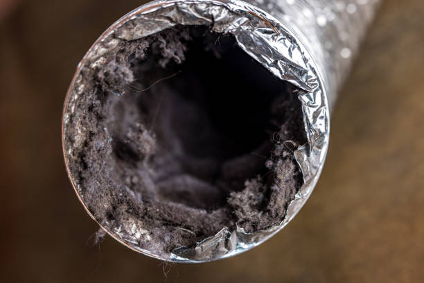 Best Home Air Vent Cleaning  in Lytle, TX