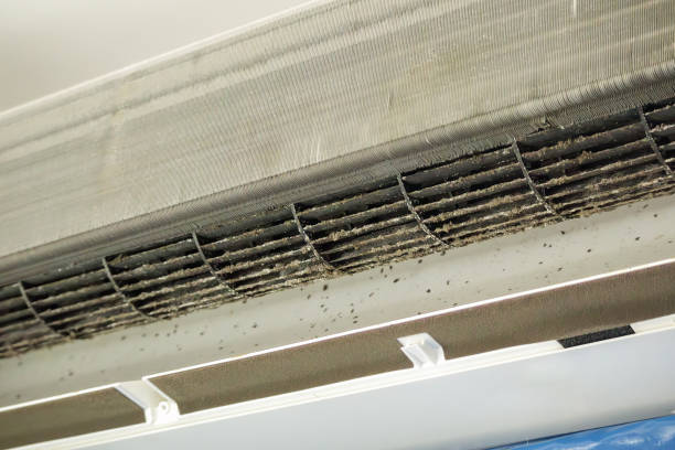 Best Affordable HVAC Duct Cleaning  in Lytle, TX